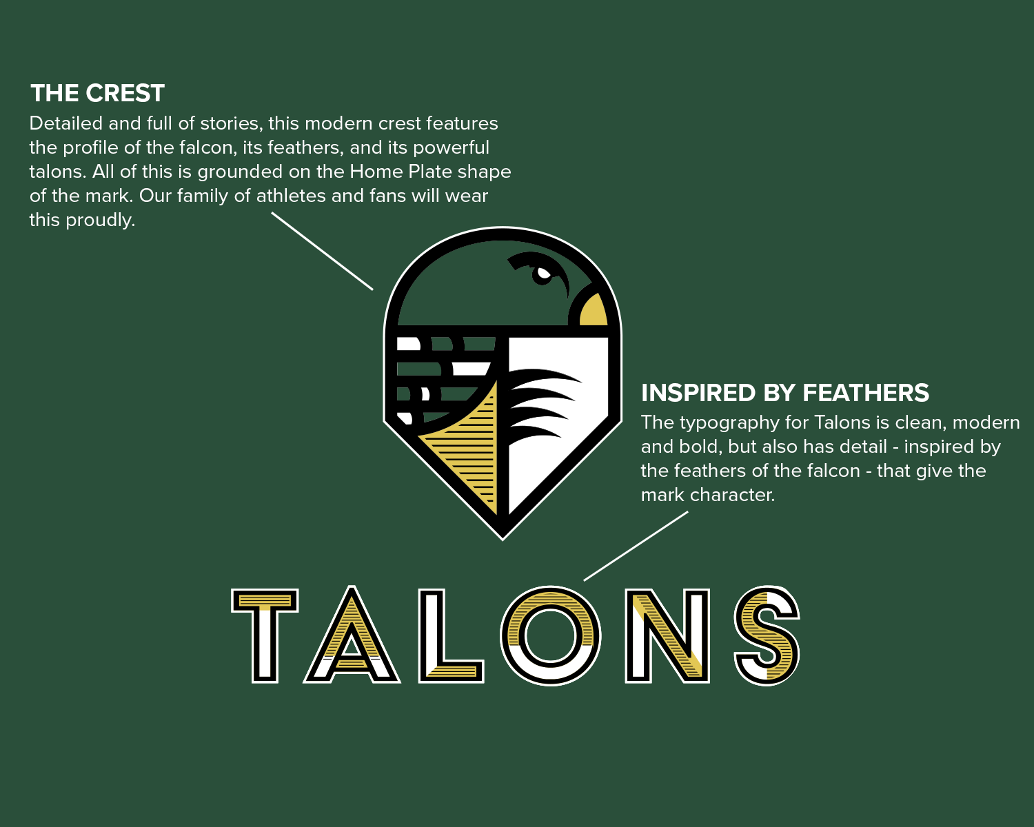 Talons Logo Breakdown